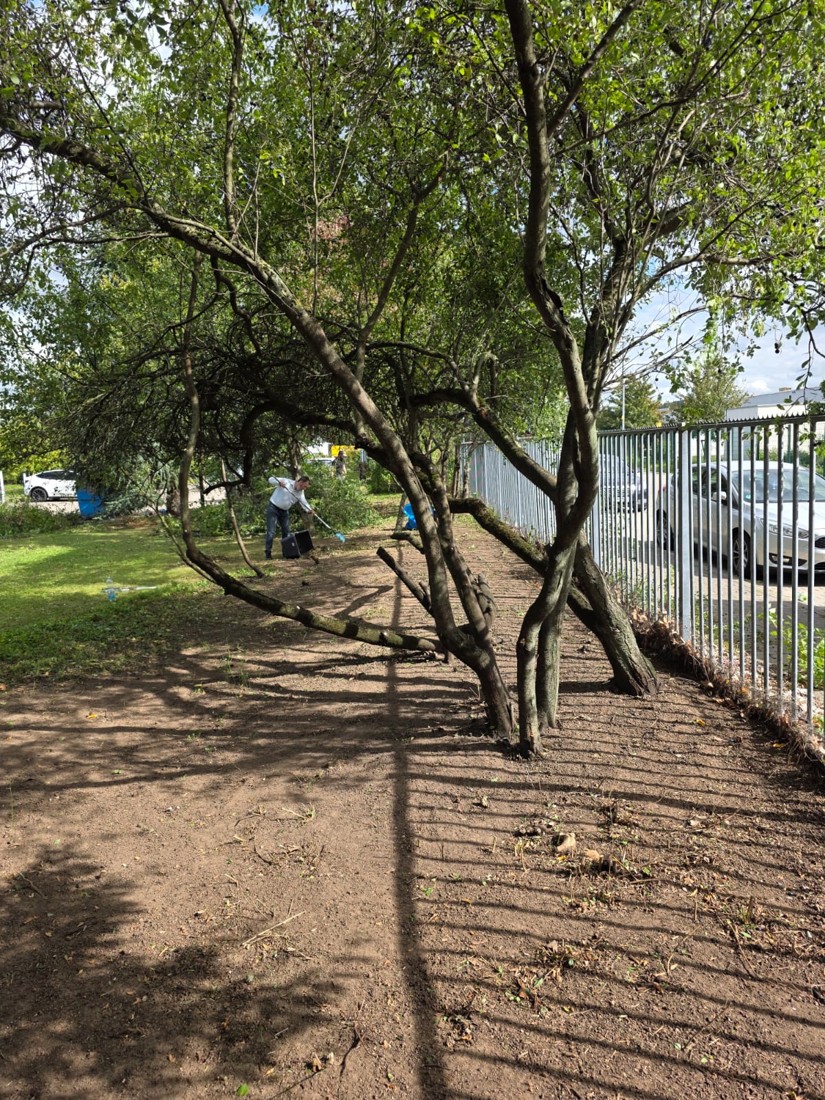 Nachher Bild 2 – Boden frei, Bäume ausgelichtet